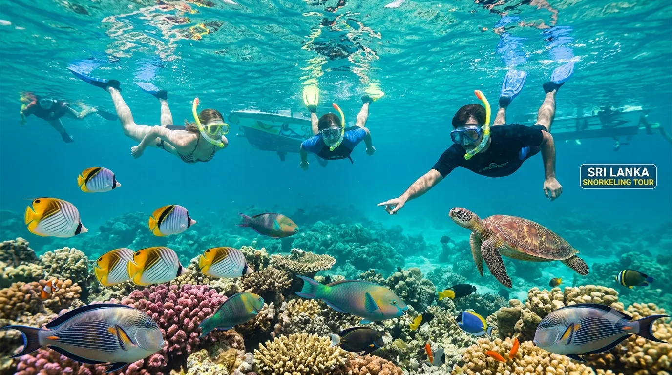 🐢 Snorkeling, Diving & Turtle Watching – Full Package | Ashi Travels
